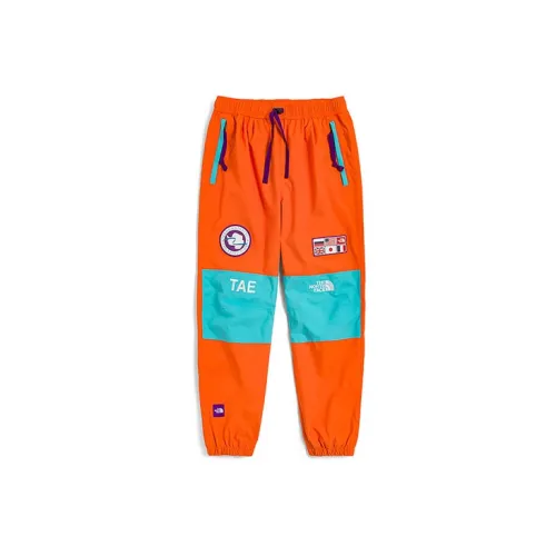 THE NORTH FACE Men Ski pants