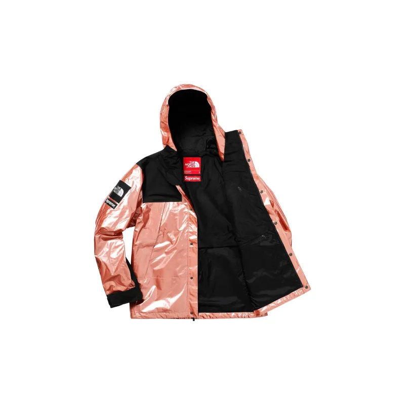Supreme The North Face Metallic Mountain Parka-2