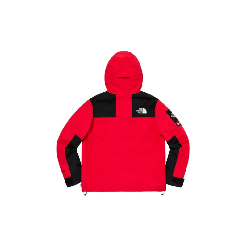 Supreme The North Face Arc Logo Mountain Parka-1