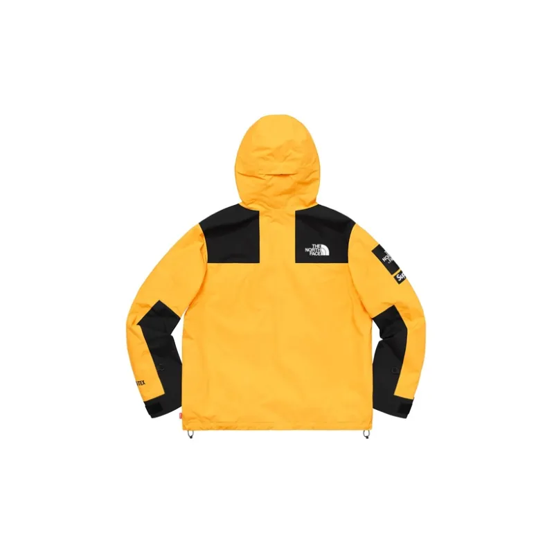 Supreme X The North Face Arc Logo Mountain Parka-1