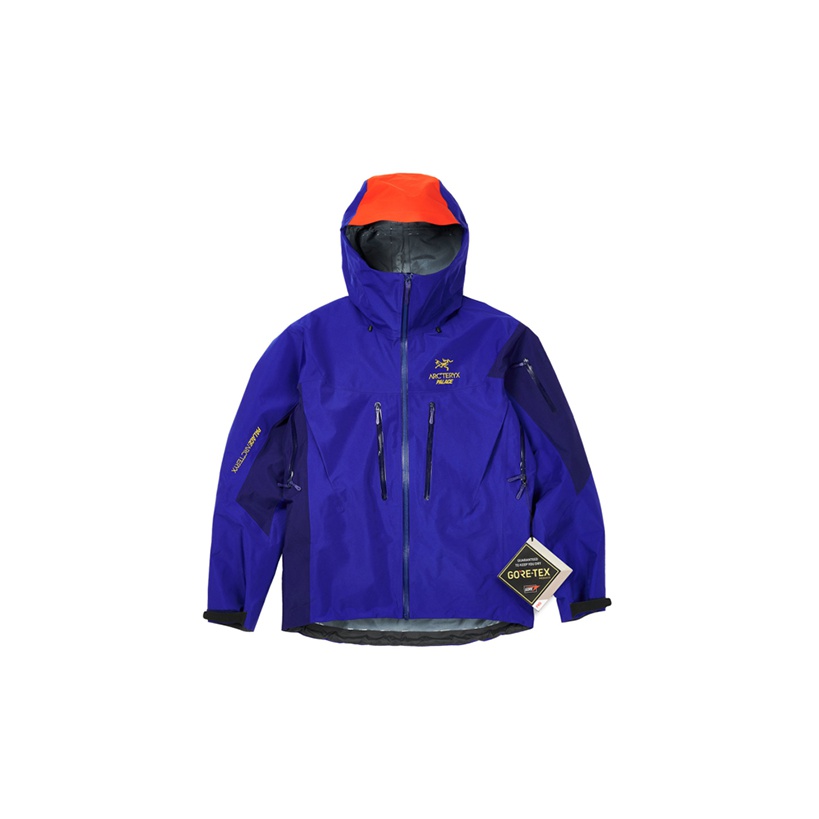 Palace X Arcteryx Archaeopteryx X Palace Collection Outdoor Jacket Unisex