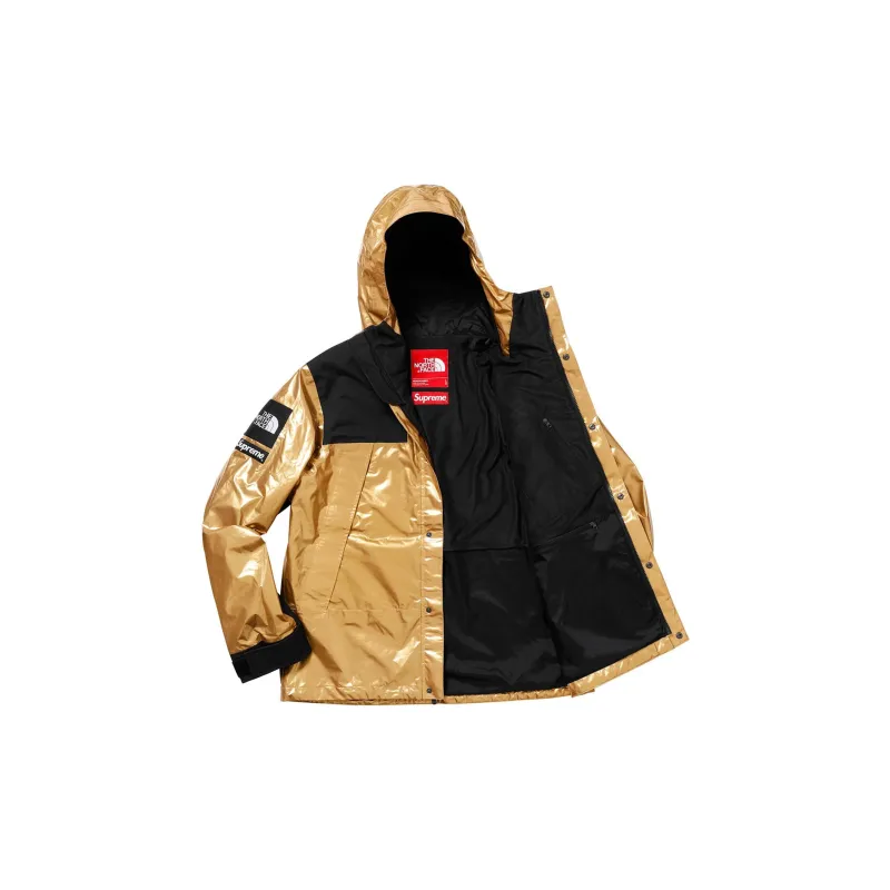 Supreme The North Face Metallic Mountain Parka-2