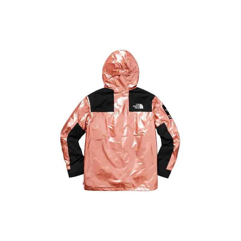 Supreme The North Face Metallic Mountain Parka-1