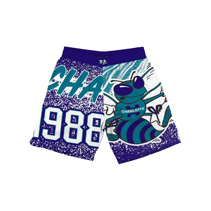 Charlotte hornets mitchell and ness shorts online