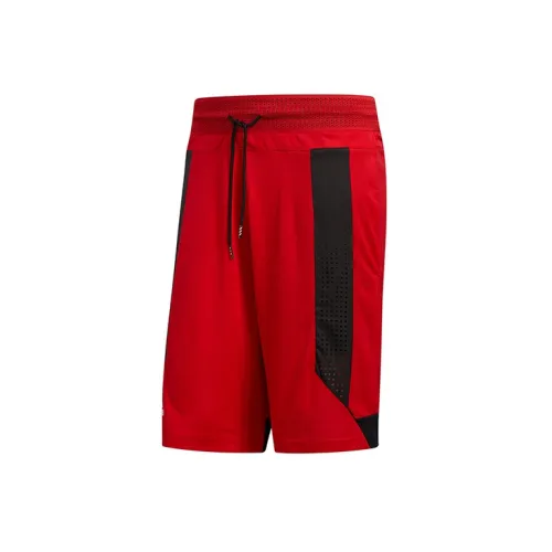 adidas Male Basketball Pants