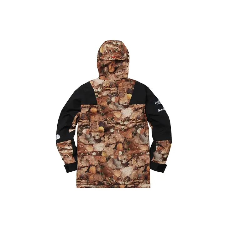 Supreme The North Face Mountain Light Jacket-1