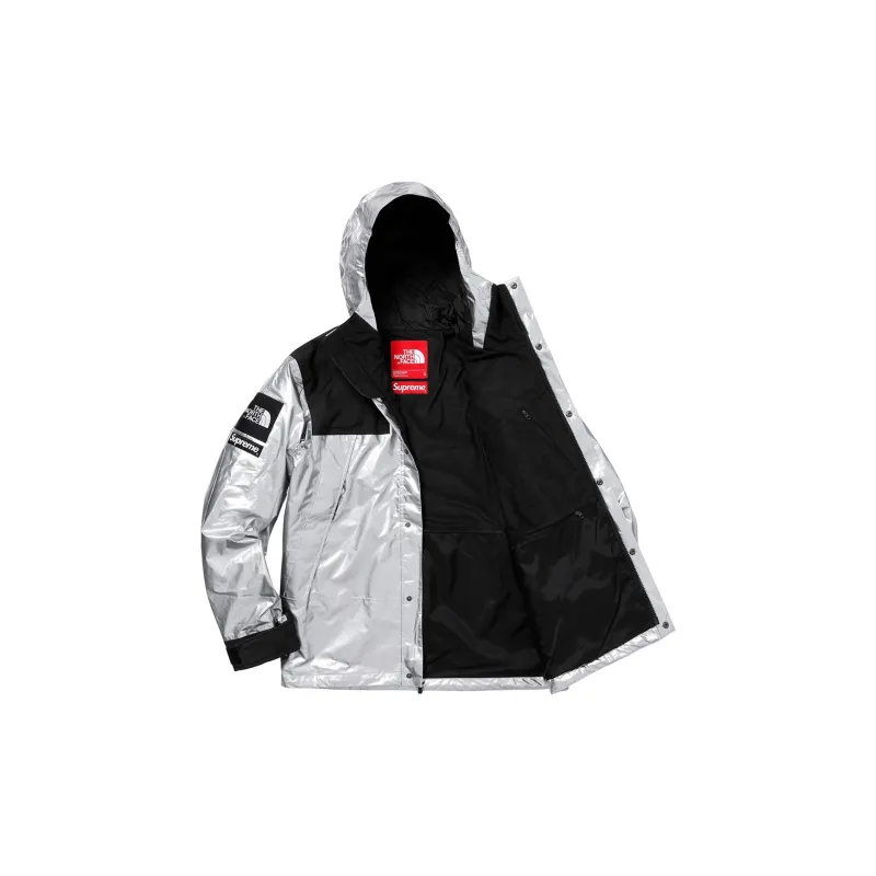 Supreme X The North Face Metallic Mountain Parka-2