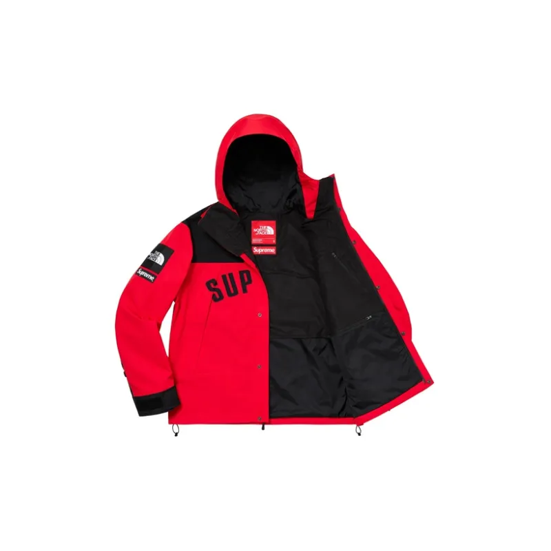 Supreme The North Face Arc Logo Mountain Parka-2