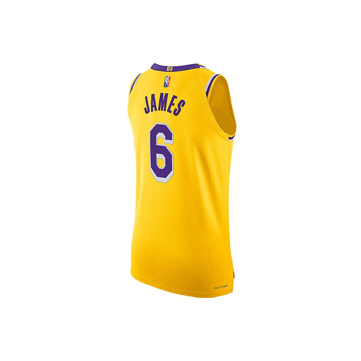 Nike Nba L.A. Lakers LeBron James Icon Edition Authentic Jersey POIZON