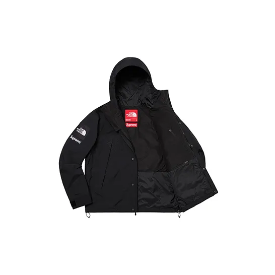 Supreme X The North Face Arc Logo Mountain Parka-2