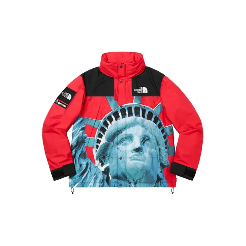 Supreme X The North Face Statue Of Liberty Mountain Jacket-1