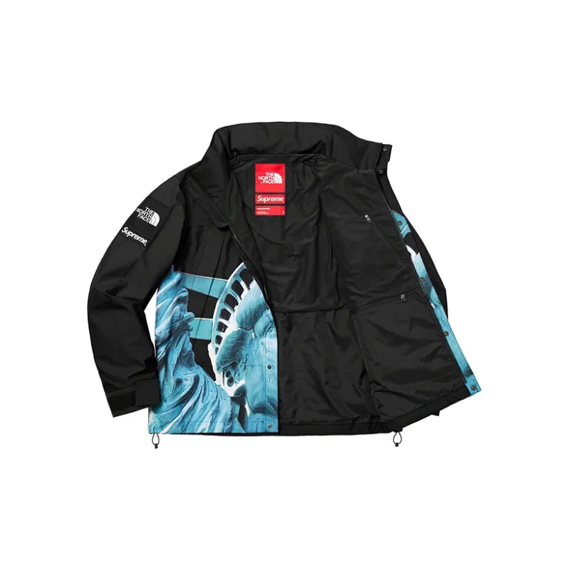 Supreme The North Face Statue Of Liberty Mountain Jacket-2