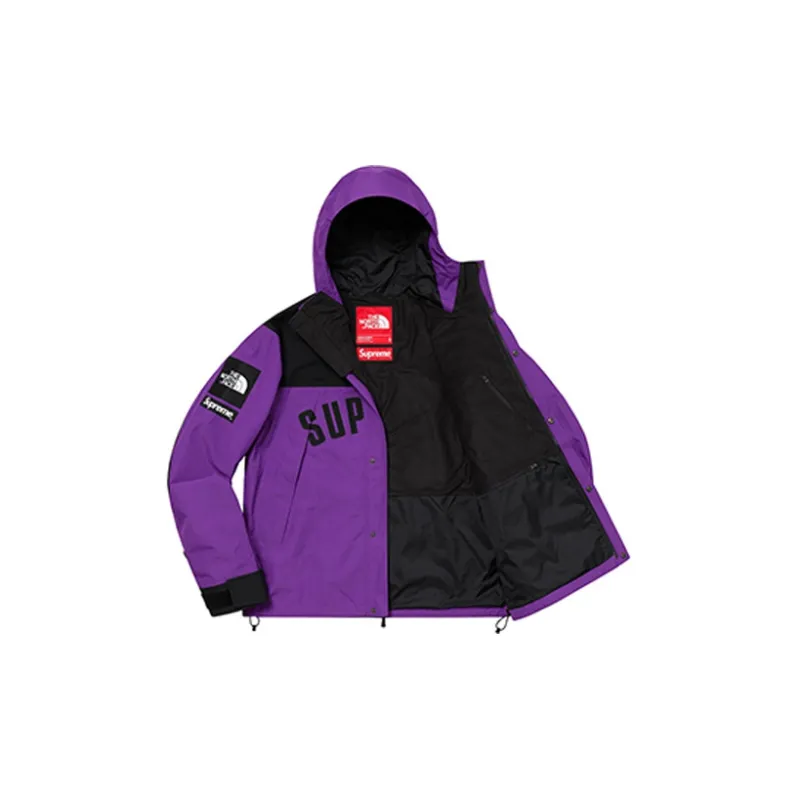 Supreme The North Face Arc Logo Mountain Parka-2