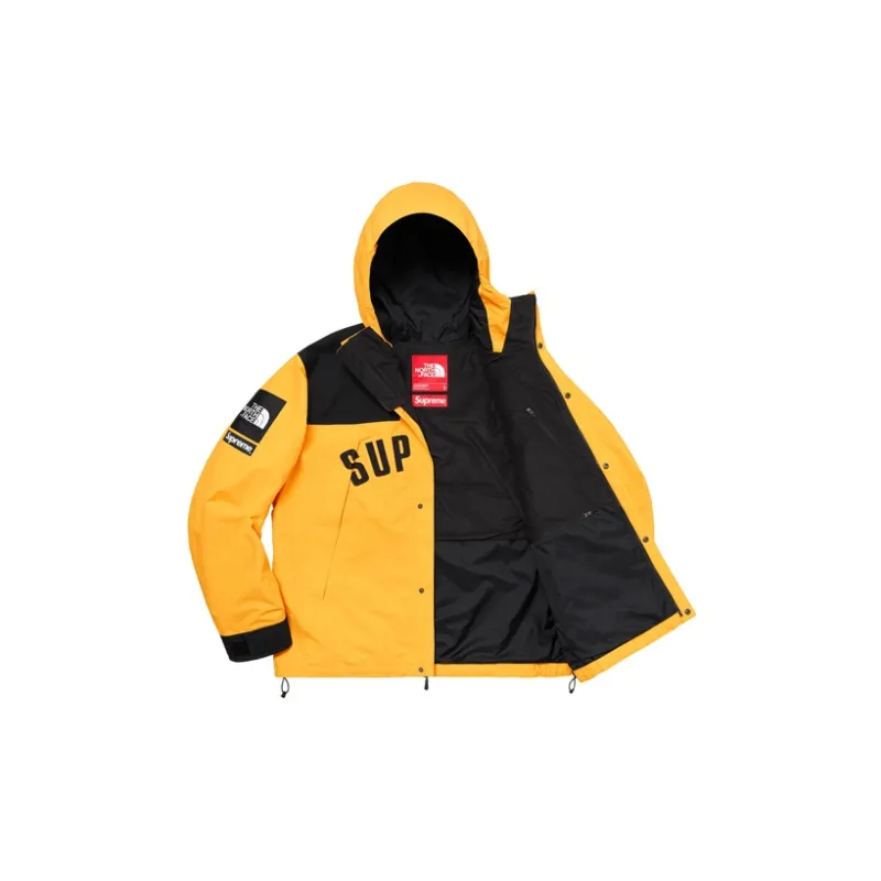 Supreme X The North Face Arc Logo Mountain Parka-2
