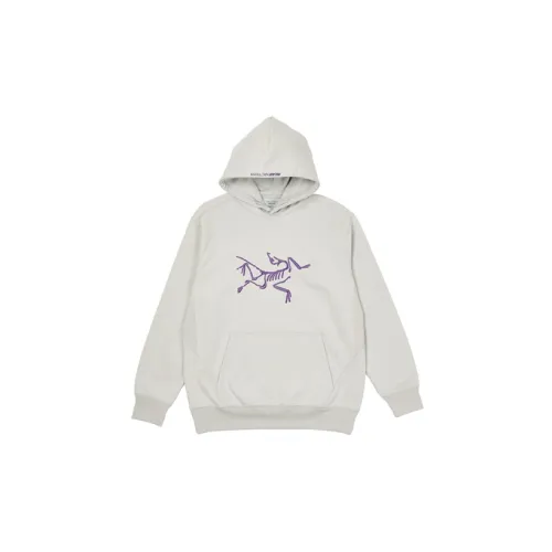 Palace X Arcteryx Archaeopteryx X Palace Collection Sweatshirts Unisex