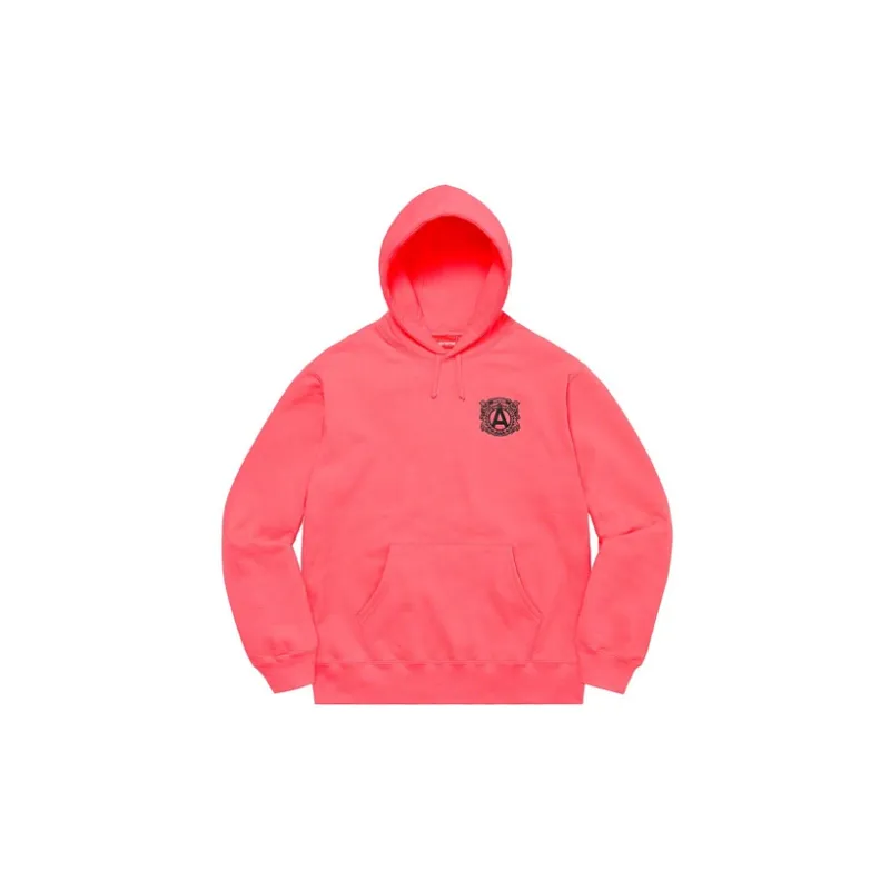 Supreme Anti Hooded Sweatshirt-5