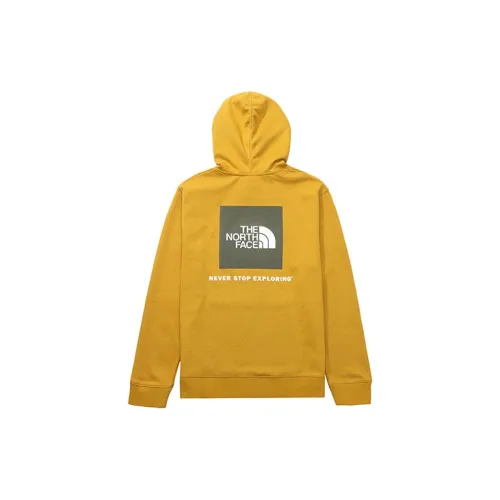 THE NORTH FACE Male Hoodie