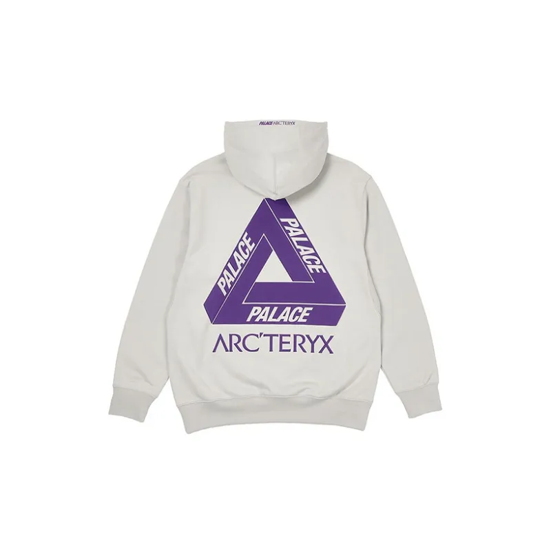 Arcteryx Arc'teryx Hood-1