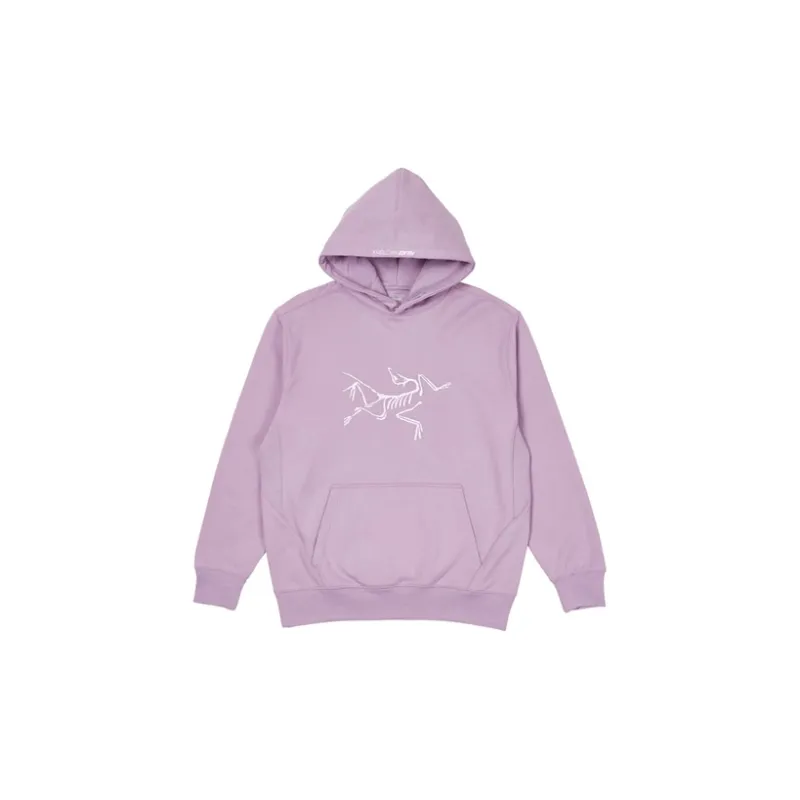 Arcteryx Arc'teryx Hood-7