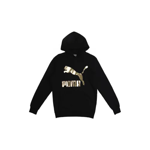 Puma Male Hoodie