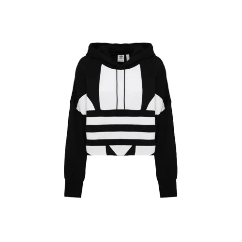 Adidas Cropped Big Trifoil Pullover Hoodie 