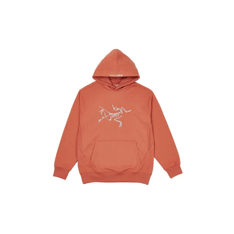 Arcteryx Arc'teryx Hood-5