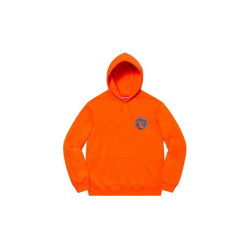 Supreme Embryo Hooded Sweatshirt-10