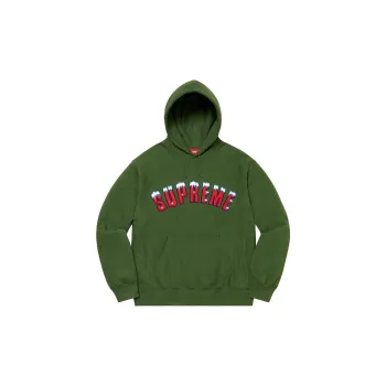 Supreme Arc Hooded Sweatshirt - POIZON
