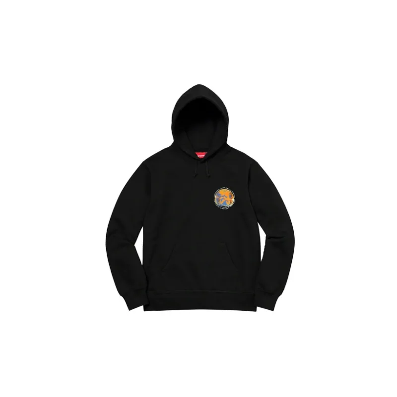 Supreme Embryo Hooded Sweatshirt-7