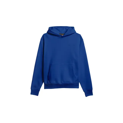 Adidas Pharrell Williams Basics Hoodie 