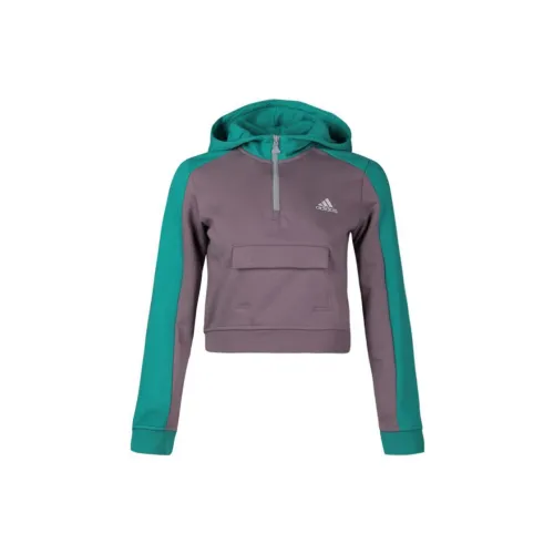 Adidas Sweatshirts Women's Legacy Purple