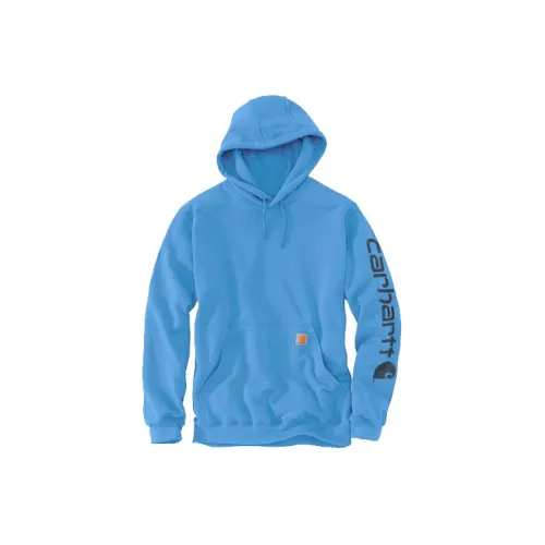 Carhartt Sweatshirt Men Sky Blue