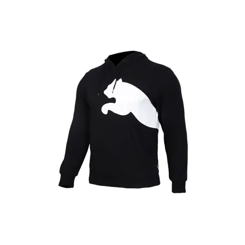 Puma Male Hoodie