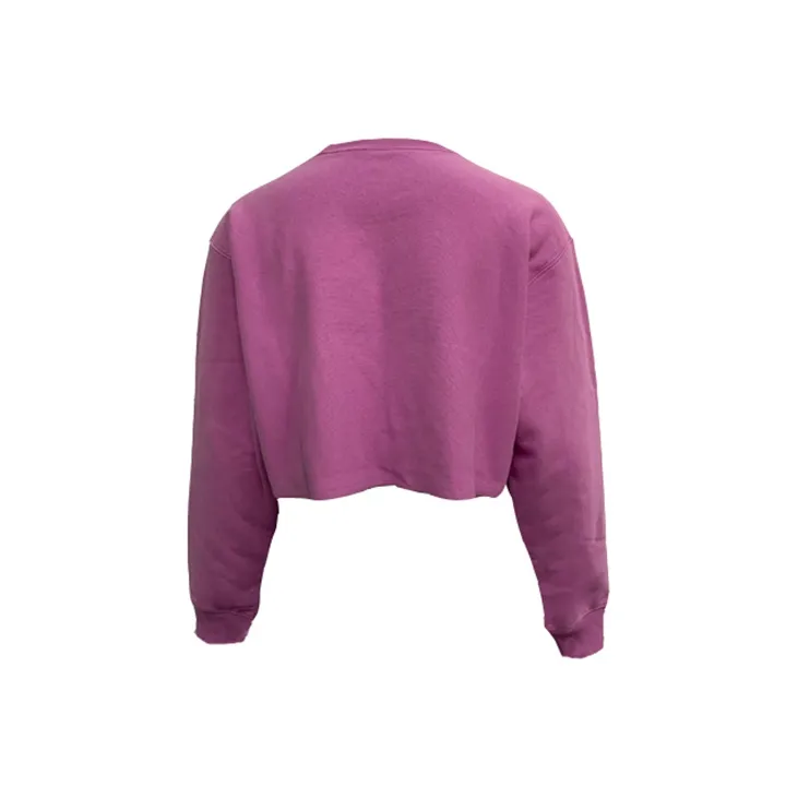 Champion Sweatshirt US Version Women's Light Purple-1