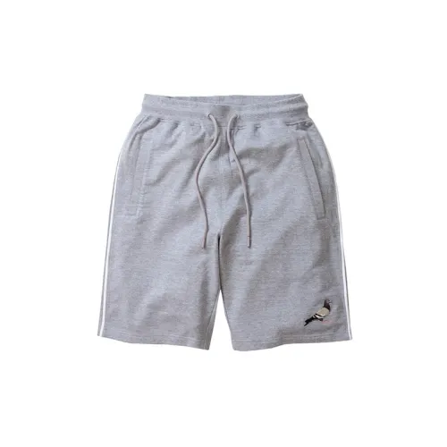 Staple Casual Shorts Unisex Light Gray