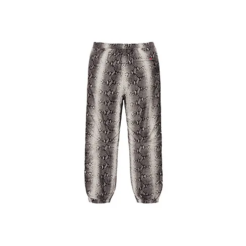 Supreme The North Face Snakeskin Taped Seam Pant-1