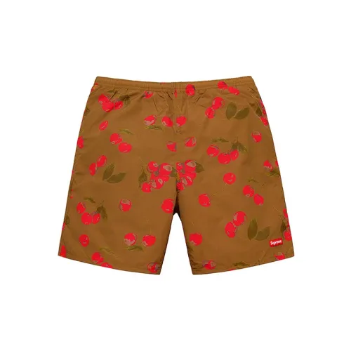 Supreme Nylon Water Short SS19
