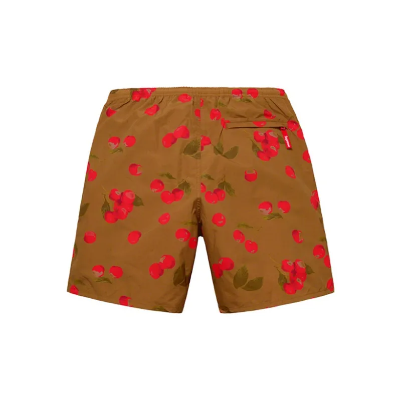 Supreme Nylon Water Short SS19-1