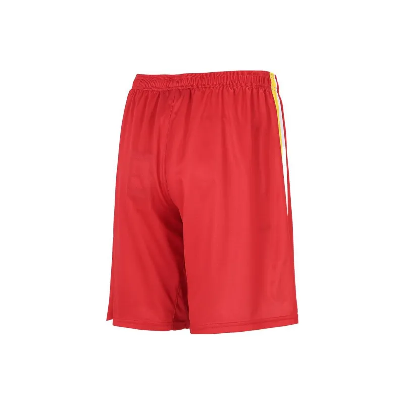 Under Armour Sports Shorts Men Red-1