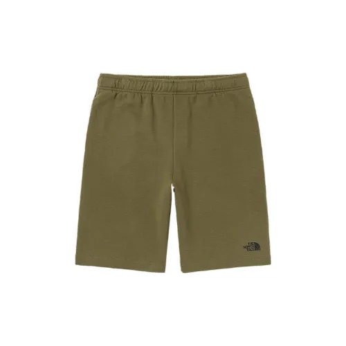 THE NORTH FACE Male Casual Shorts