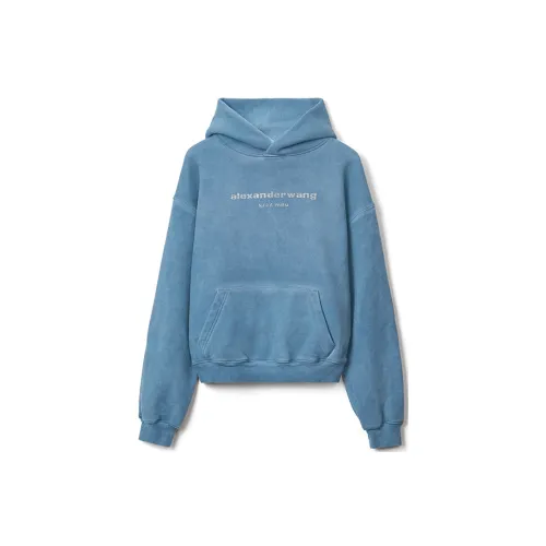 Alexander Wang Sweatshirts Unisex Blue Pearl