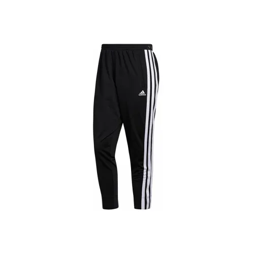 Adidas Knitted Sweatpants Men Black