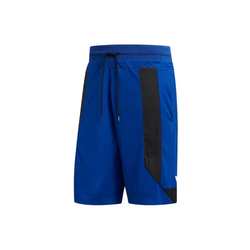 Adidas Casual Shorts Men Collegiate Blue