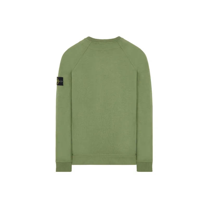 STONE ISLAND STONE ISLAND 40Th Anniversary Collection Sweatshirts Men Green-1
