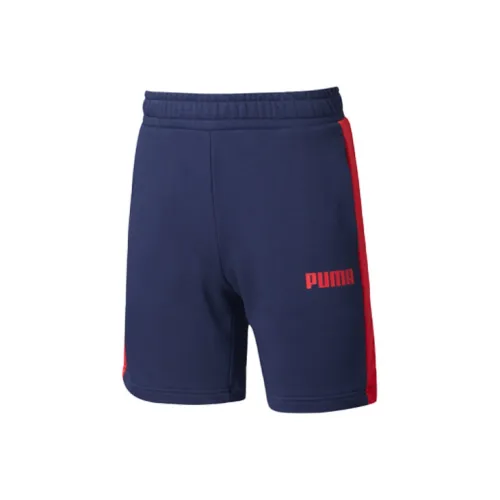 PUMA Casual Shorts Men Tweed Blue