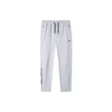 Microchip Gray