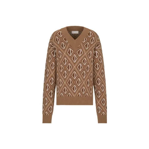 DIOR Quarterly New Products Cashmere Sweaters Men Coffee Brown