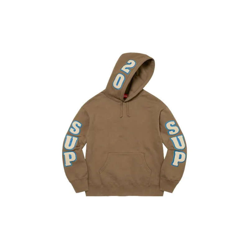Supreme Team Chenille Hooded Sweatshirt-8