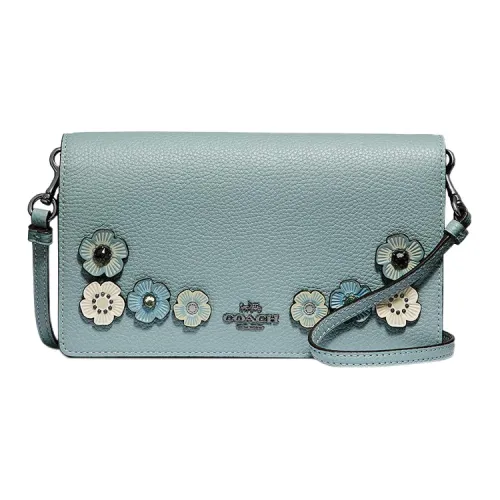 COACH Clutch Crossbody Bags