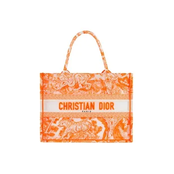 DIOR BookTote Handbags